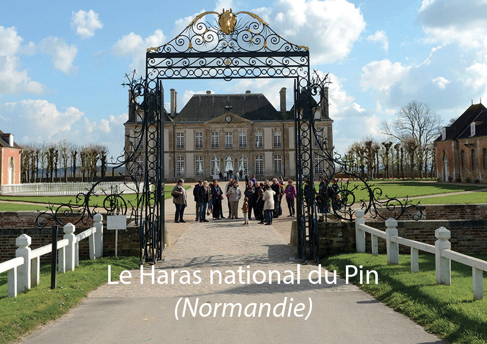 Slider HARAS DU PIN copie