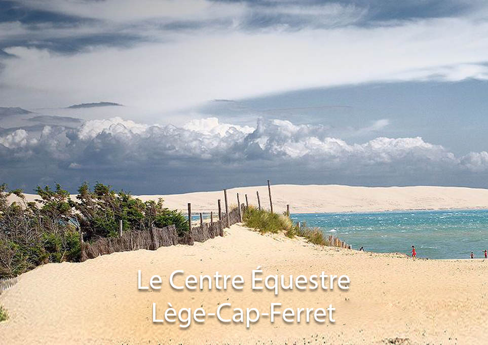 Slider LEGE CAP FERRET copie